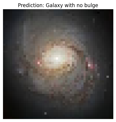 Model Prediction Results