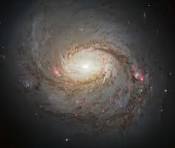 Test Galaxy Image
